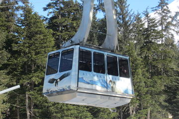 Alyeska Tram a Self-Guided Tour