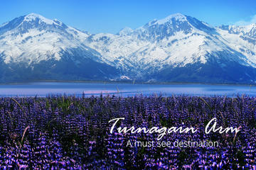 TURNAGAIN ARM SHUTTLE SERVICE: Your transport to Adventure