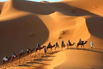 2 Day Desert Tour From Marrakech through the Atlas Mountains Private Tour