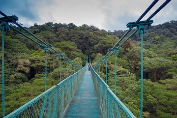 Selvatura Park Hanging Bridge Canopy Tour in Monteverde