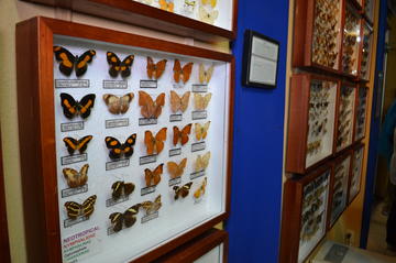 Selvatura Park Nature Tour in Monteverde