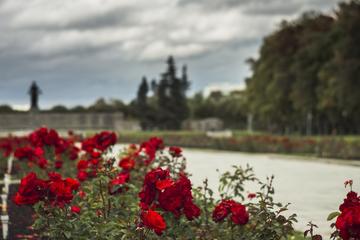 Private Tour: The Siege of Leningrad