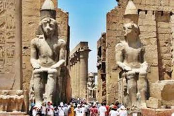 A private day trip to luxor from marsa alam with an Specialized Egyptologist