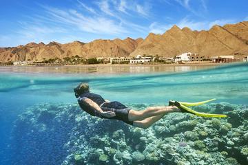 Port Ghalib day snorkeling excursion