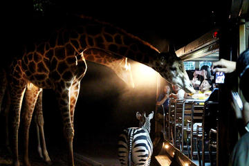 3-Hour Chiang Mai Night Safari