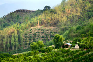 Chiang Rai and Golden Triangle Day Tour from Chiang Mai