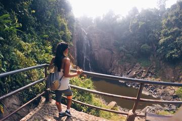 Full-Day Khao Yai National Park & Thai Cooking