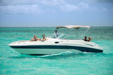 North Sound Charter with Stingray Encounter - Snorkel - Snacks and Champagne