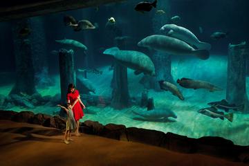 Full-Day Safari Experience in Singapore
