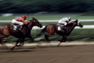 Singapore Turf Club: Horse Racing with VIP Lounge Access