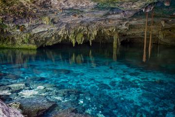 Cenote and Tulum Experience from Cancun