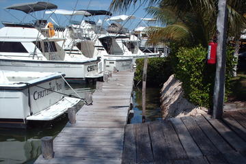 Deep Sea Fishing Charter in Cancun
