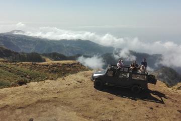 Madeira Mountain and Porto Moniz Private Full Day 4x4 Tour