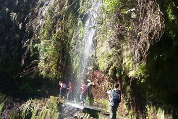 Madeira Outdoors Private Moderate Walking Tour with Mountain Guide