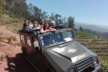 Private Half-Day Mountains and Vineyards 4x4 Tour