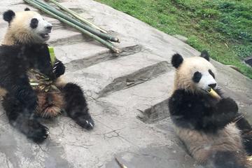 Kung Fu Panda 3 Temple Tour