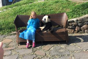 Private Day Trip to Dujiangyan Panda Center with Panda Holding Option