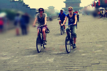 Private Xi'an in One Day: Big and Small Wild Goose Pagodas and Tang Paradise