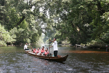 3-Day Taman Negara Adventure from Kuala Lumpur