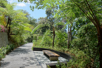 Penang Hill Habitat Nature Walk Including Lunch