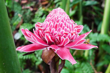 Private Tour: Spice Garden and Entopia Butterfly Farm in Penang