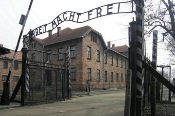 Auschwitz - Birkenau Admission Free&Door2Door Half-Day Trip from Krakow