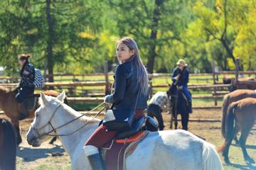 1 Day Horseback Riding Tour to Historic Temple in Mongolia Including Lunch