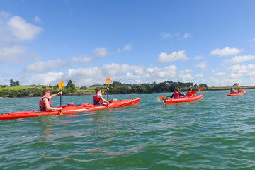 Bay of Islands Half Day Guided Tour