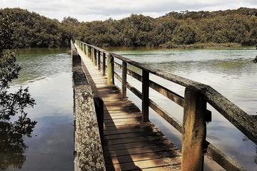 Walk and Paddle Haruru Falls