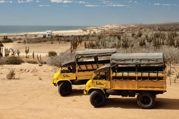 Baja Ranch Tour and Camel Safari from Los Cabos