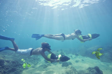 Los Cabos Sea Adventure: Snorkeling, Kayaking and Stand-Up Paddleboarding