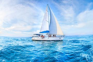 Private Luxury Sailing Cruise in Los Cabos with Lunch and Open Bar