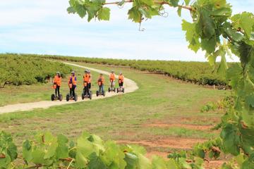 Segway Tour at Seppeltsfield Winery