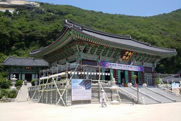 Private Group Day Trip to Seongmodo Island and Ganghwa Island