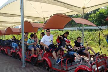 Railbike and Nami Island in one day