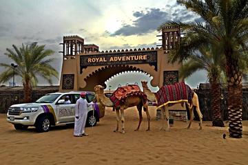 Dubai Royal Adventure Desert Safari Evening Tour