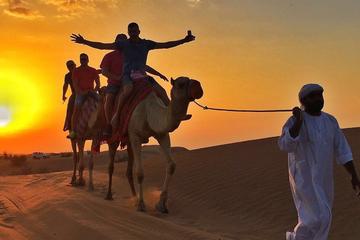 Morning Desert Safari:Dune Bashing Experience  with Camel Ride