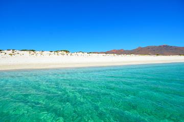 Remote Beach All-Inclusive Sailing Cruise with Snorkeling from Los Cabos