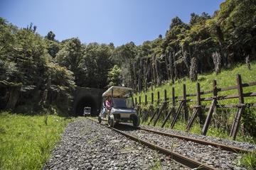 20 Tunnel - Rail Cart Tour