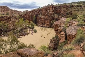 East MacDonnell Ranges 4WD Day Trip from Alice Springs