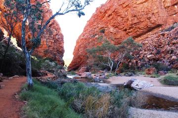 Private Tour: Half-Day West MacDonnell Ranges 4WD Tour