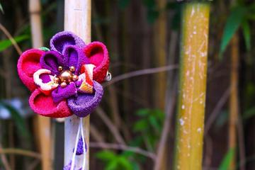 Cloth and Creativity