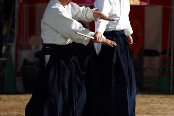 Half-Day Aikido Martial Arts Lesson in Tokyo