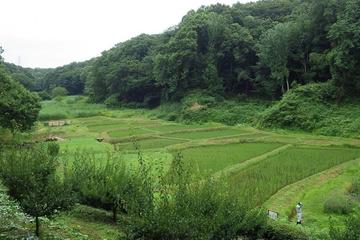 Hike and Explore Japan's Nature Trails