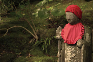 Kamakura Historic Guided Temple Tour