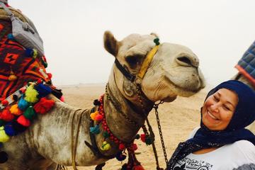 5 hours Giza pyramids camel ride andlunch