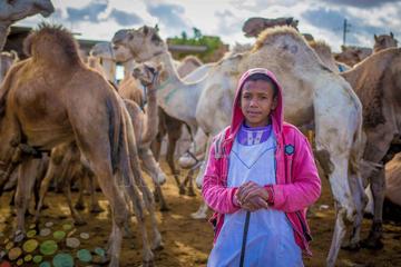 camel market day tour