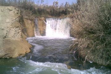 El Fayoum Oasis Day Trip from Cairo