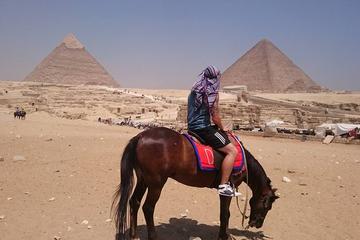 private half day Giza pyramids and complex with pick up from hotel with private tour guide