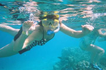 Snorkeling by Boat to Ras Mohamed